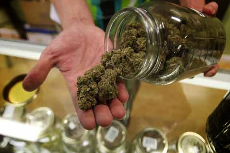 New Jersey Just Introduced Legislation That Has Many Marijuana Lovers Thrilled
