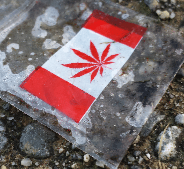 Canada Researchers Think Medicinal and Recreational Marijuana Should Be Separate