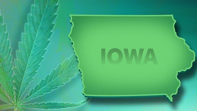 Iowa’s Governor Appoints Eight People to Medical Marijuana Advisory Board