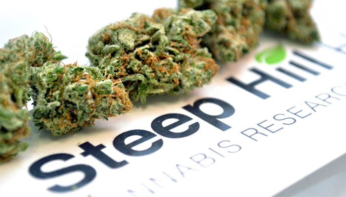 Cannabis Science Company Steep Hill Closes $2 Million Investment Round