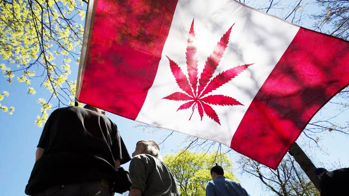 Canadians For The Legalization of Marijuana Are Concerned About This
