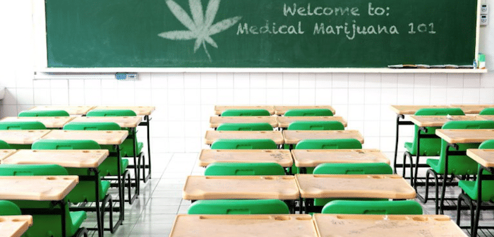 More and More Universities are Offering Cannabis Classes