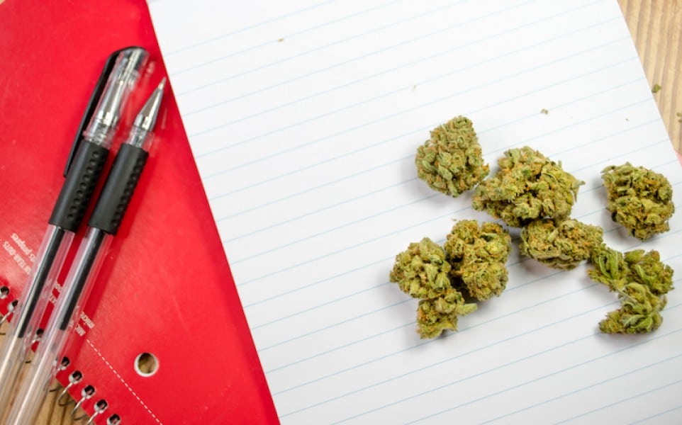 This University is Offering Four Year Marijuana Degrees
