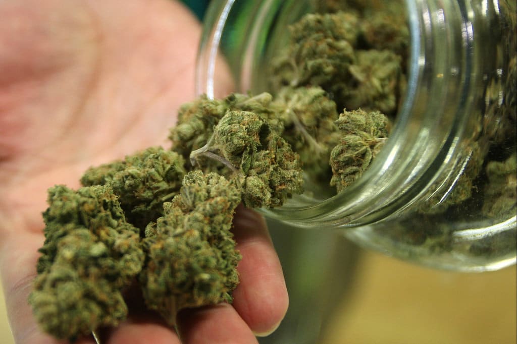 New Jersey Must Now Look at Marijuana’s Medicinal Value