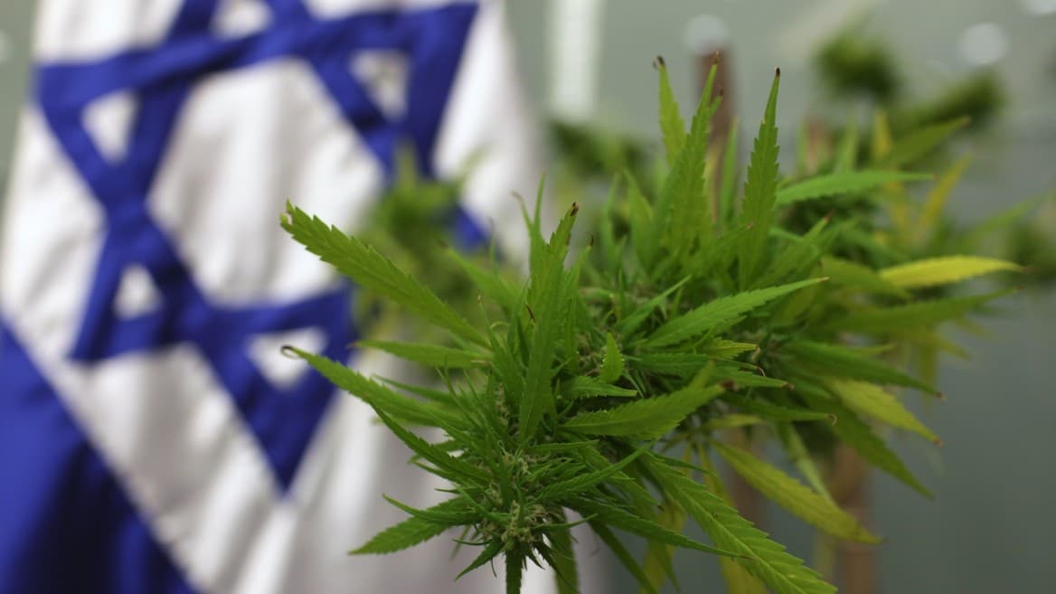 Israel Could Become a Marijuana Exporting Powerhouse