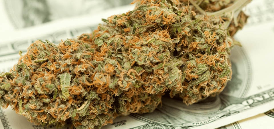 The Global Marijuana Market Will Be Worth This Much Soon