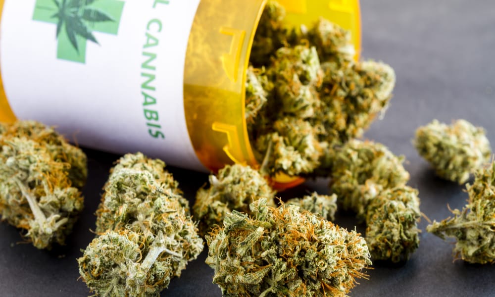 Florida is Adding this Many Medical Marijuana Patients Per Day