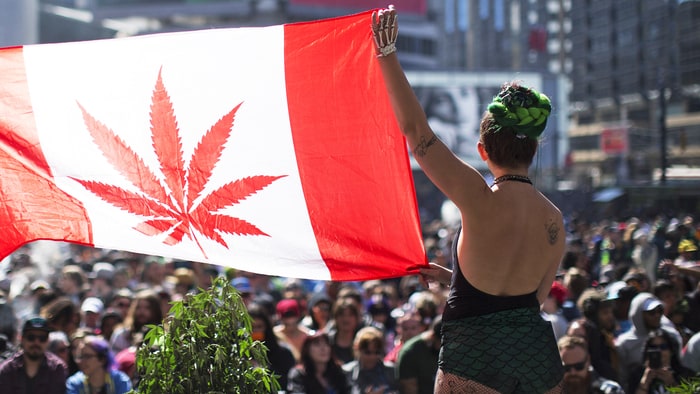 Canada Spends Almost as Much on Cannabis as it Does on This