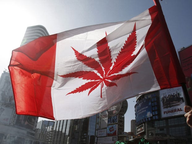 This is How Much Cannabis Canada Consumed in 2015