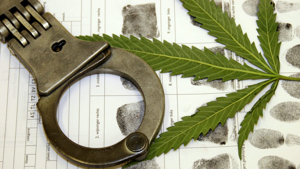 Second Chances To be Offered to Californians With Marijuana Crime Charges