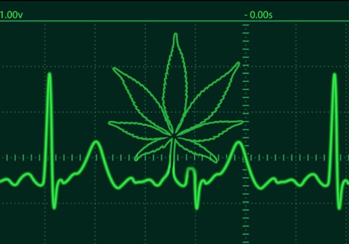 Over a Dozen Studies Conclude This About Marijuana and the Heart