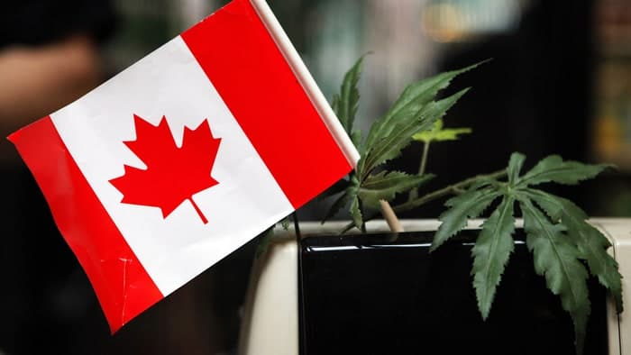 HRPA Says 71% of Canadian Employers are Not Ready for Marijuana Legalization