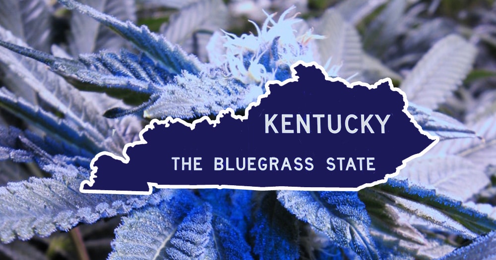 Bill is Proposed to Legalize Medical Marijuana in Kentucky