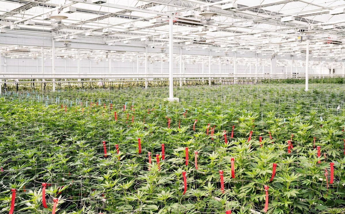 Aphria is Buying Broken Coast Cannabis for $230 Million