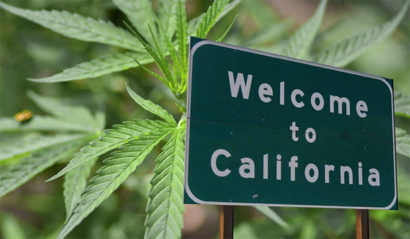 Marijuana Stocks are on Fire After California Pot Goes on Sale