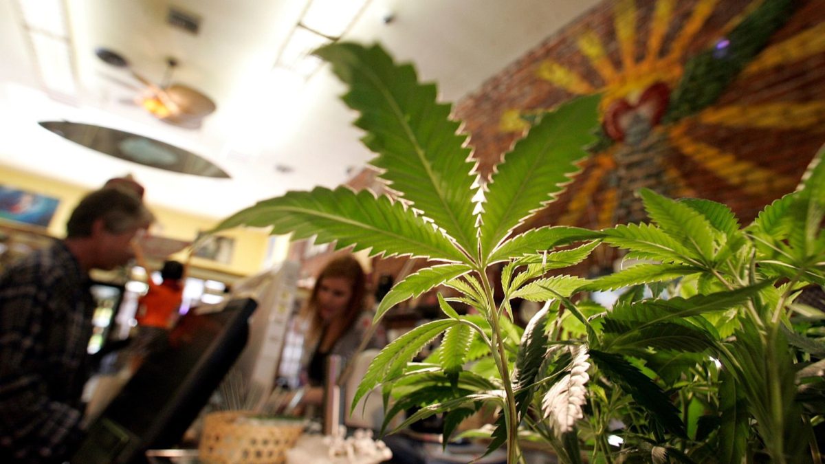 Pot is on Sale in California But Marijuana-tracking System is Delayed