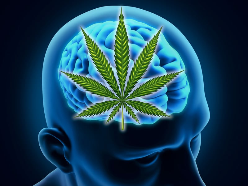 According to Study Alcohol is More Damaging than Marijuana to Brain Health