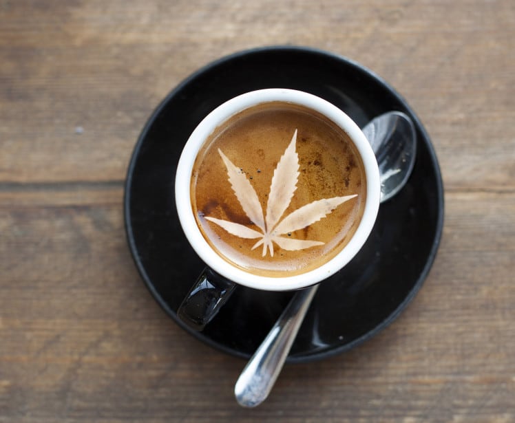 Massachusetts Governor Wants to Hold Off on Cannabis Cafes