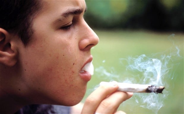 Medical Marijuana Does not Increase Recreational Pot Use for US Teens According to Study