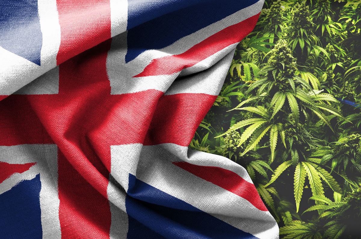 Study Finds that High-Strength Marijuana is Now Dominating U.K’s Illegal Market