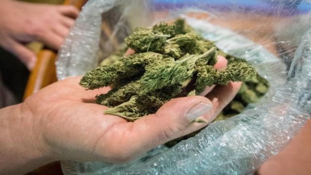 Free Marijuana Was Offered to D.C. Council Members This Week