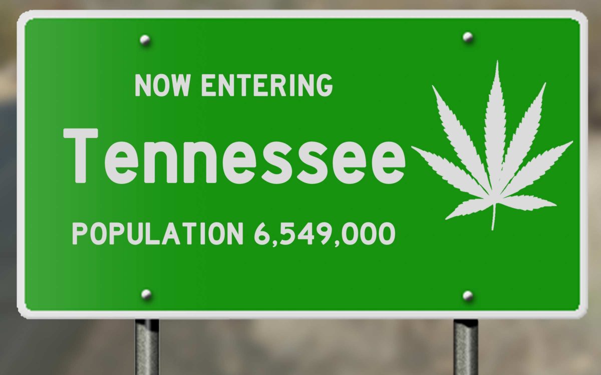 Tennessee House Committee Approves Medical Cannabis to Some People