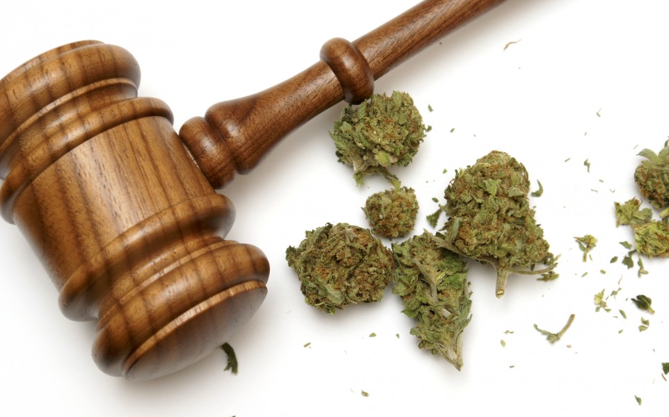 Medical Marijuana is Safe from Federal Prosecution.. At Least For Now