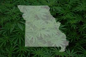 The Missouri House Has Just Endorsed a Marijuana Measure