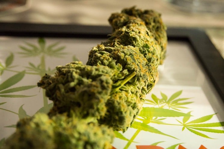 Medical Marijuana Reduces Opioid Use According to This Study