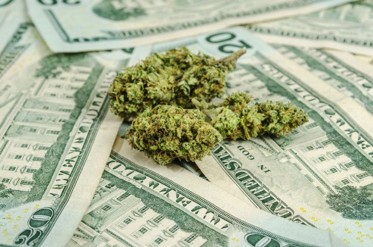 New Report Finds that Marijuana Legalization Means More Money for Government