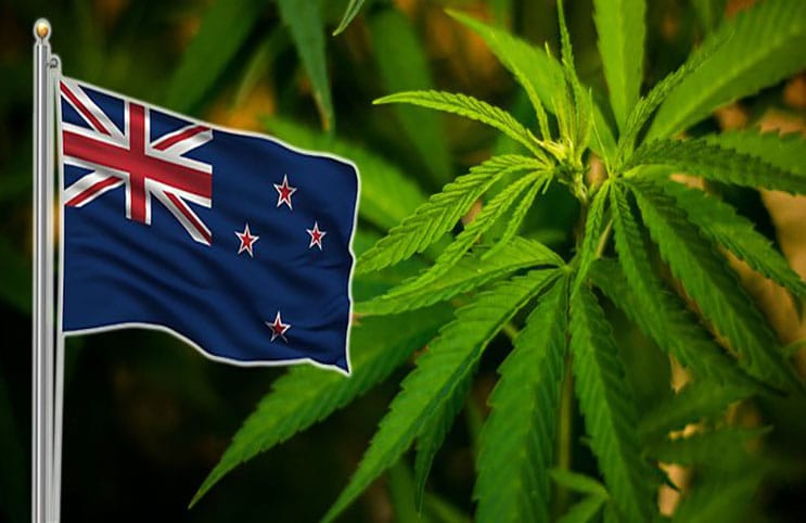 New Zealanders Inch Closer to Being Able to Vote for Marijuana