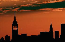 NY State Department of Health Nears Completion of Recreational Marijuana Study