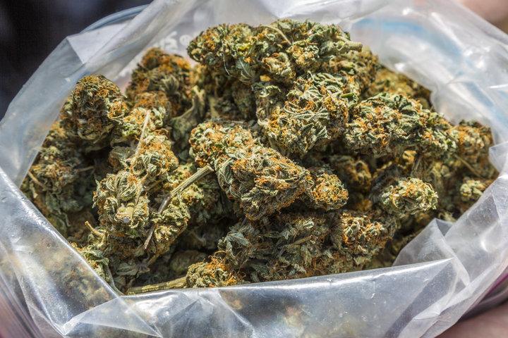 One in Five Batches of Marijuana in California Isn’t Good Enough