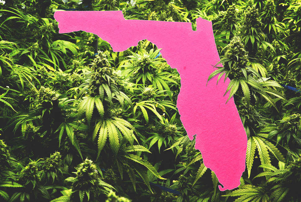 One of Florida’s Largest Medical Marijuana Centers is Forced to Stop Processing