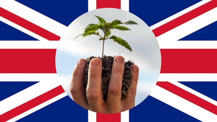 Medical Cannabis Approved for Use on Prescription in UK