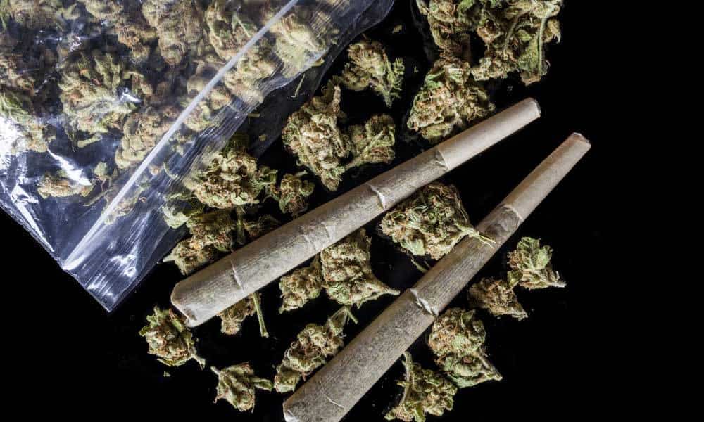 A New Study Says 14% of Adults Used Marijuana in The Last Year
