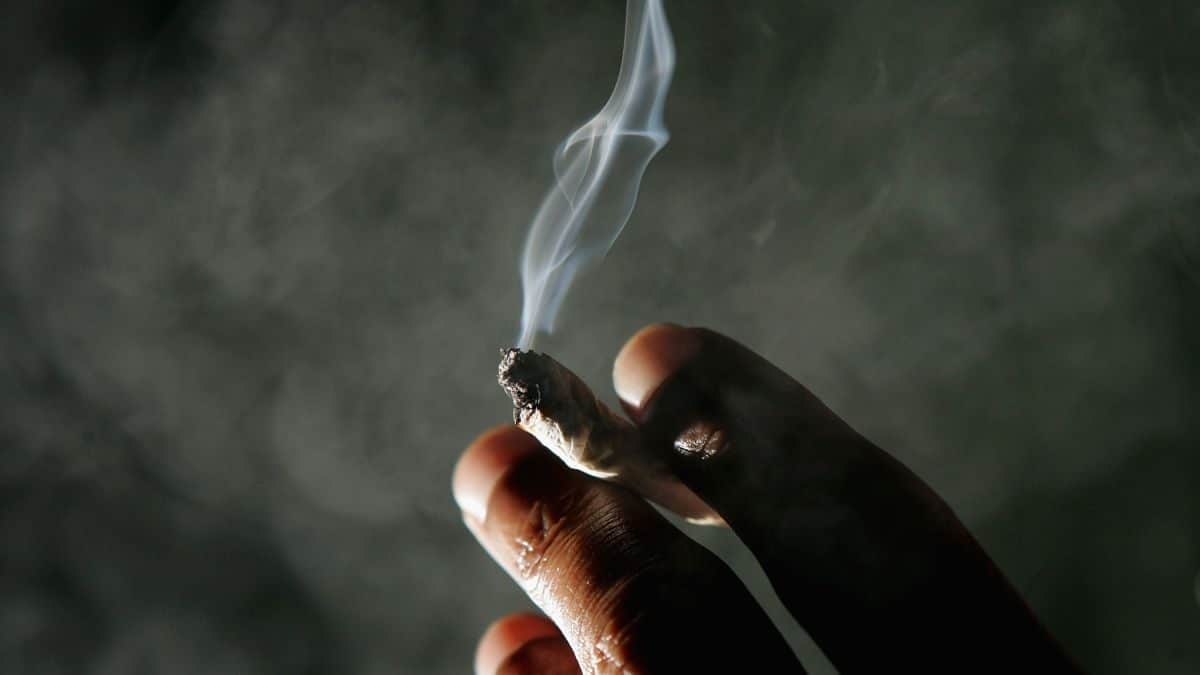 Study Finds that Your Genes Could Make You Crave Marijuana