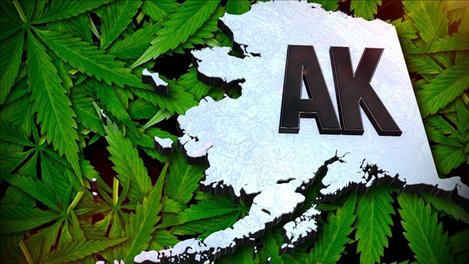 Alaska Collected Over $11M in Marijuana Tax Revenue
