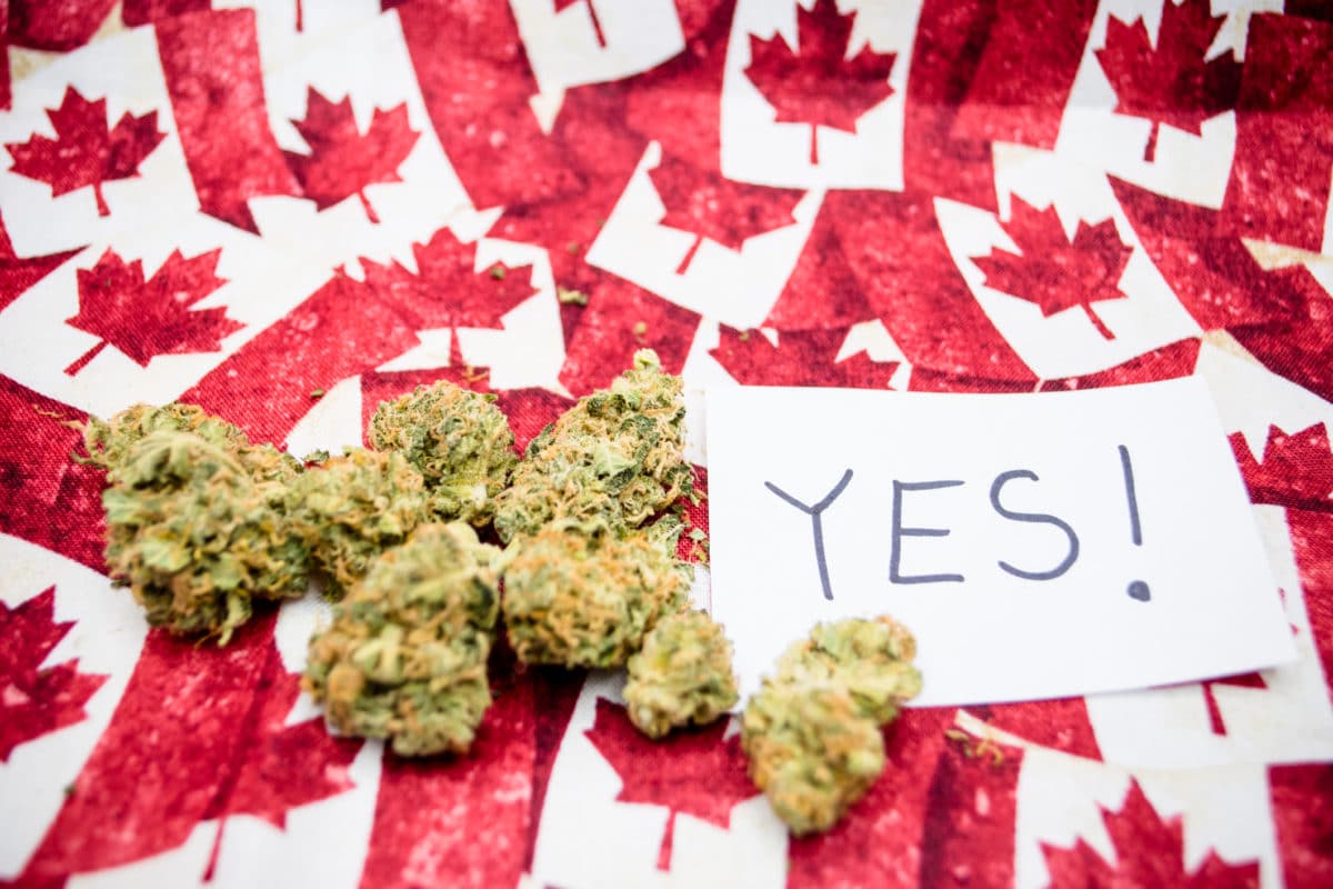 Study Says Canada’s Legal Marijuana Producers Will Only Meet 30-60% of Demand