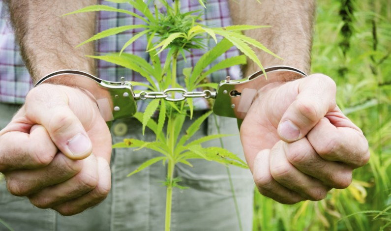 Lawrence City in Kansas May Be Headed Towards Reducing Marijuana Possession Penalties
