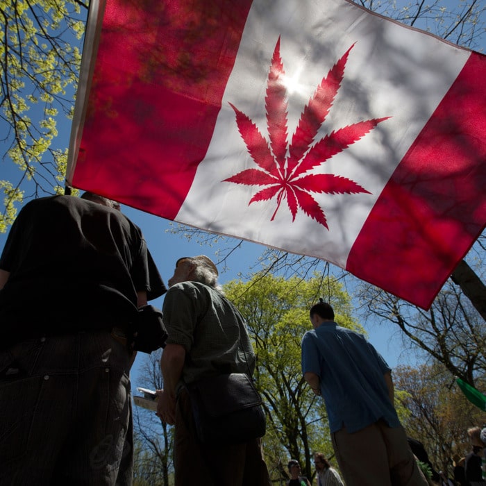 Canada is Already Facing Problems After Recreational Marijuana Becomes Legal