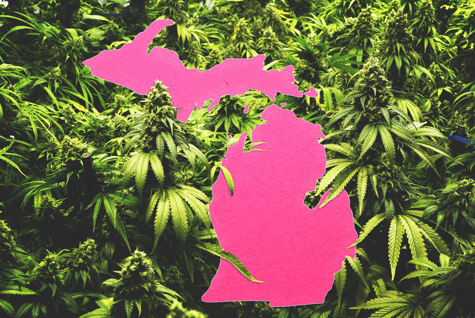 Michigan Medical Marijuana Residents Now Can Use Online Tools to Get Certified