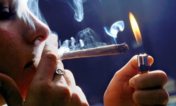 Conservative Study Says Marijuana Legalization Has Hurt Colorado