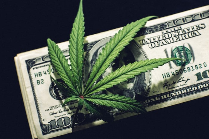 The Top 3 Pot Stocks to Own for the Next 10 Years