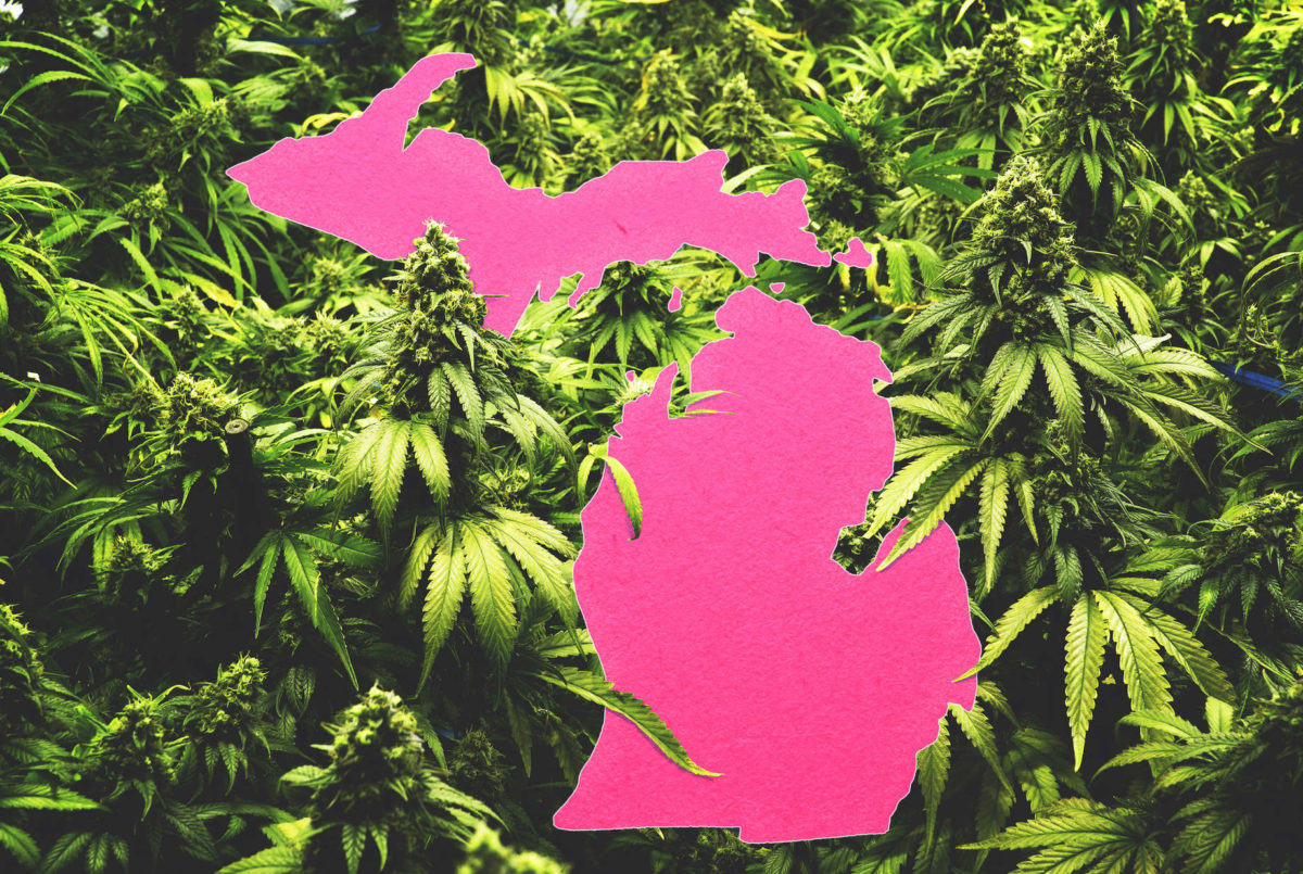 Michigan Medical Marijuana Licensing Board Allows Temporary Facilities to Reopen