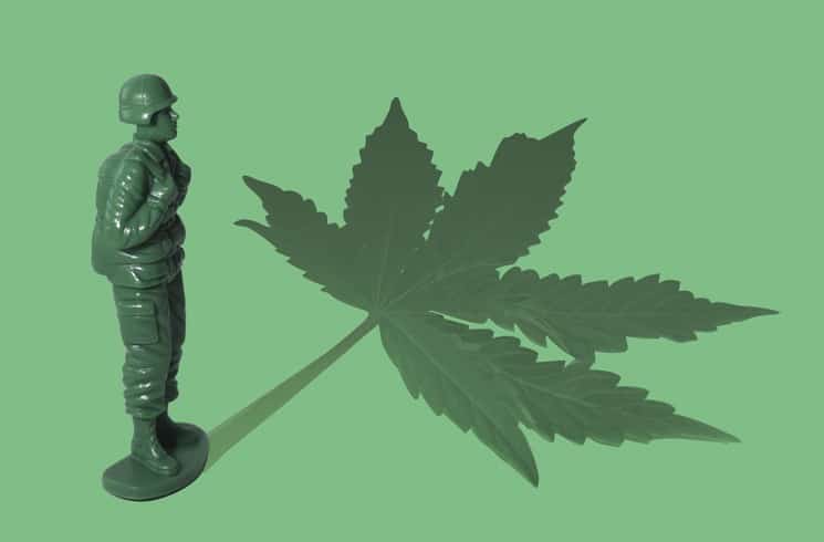 A Senator in This State Thinks Veterans Should Get Free Medical Marijuana Cards