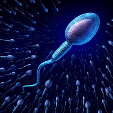 New Study Says Marijuana Can Help Sperm Count