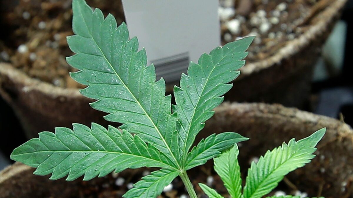 New Hampshire Just Got Closer to Marijuana Legalization