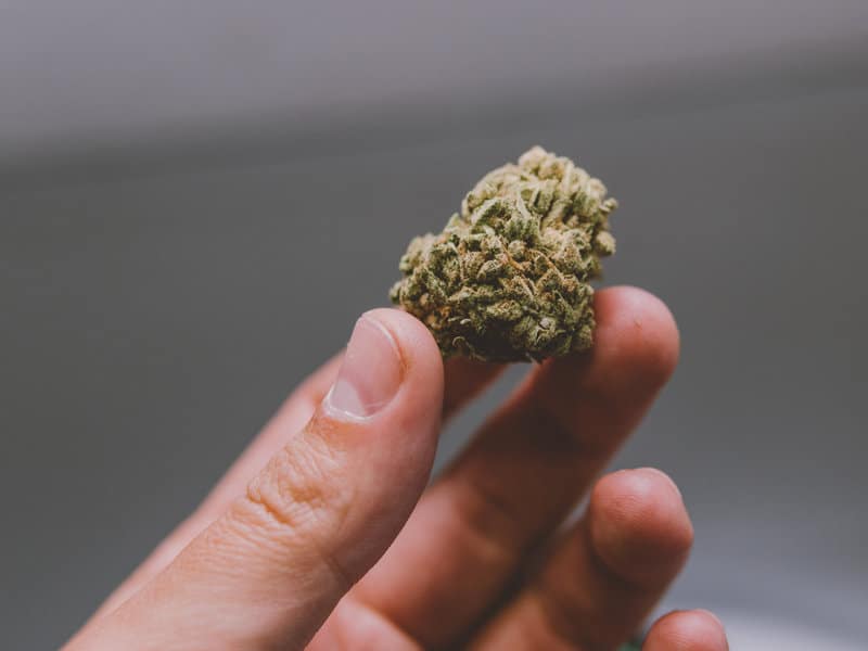 Those Who Have Cancer More Likely to Use Marijuana Says Study
