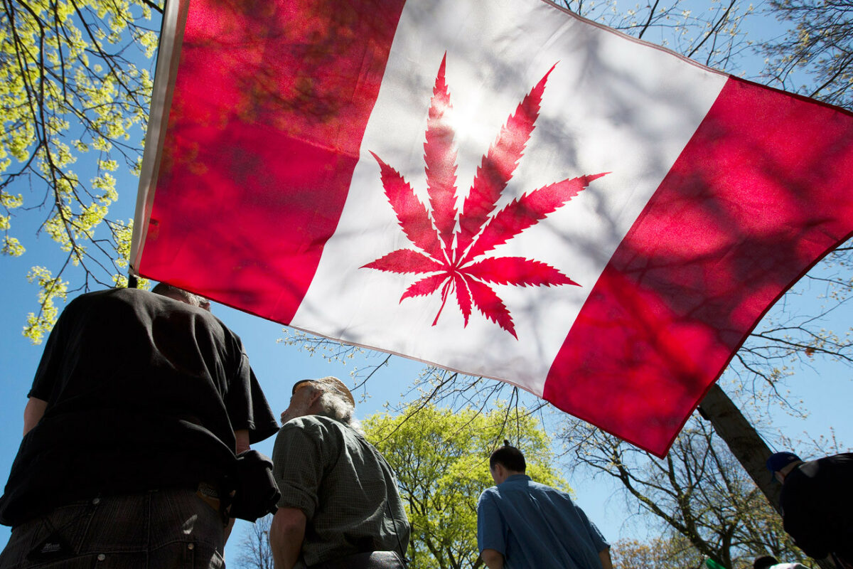 Survey Reveals that Canadians are Less Accepting of Recreational Marijuana Now